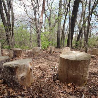 New Franklin School trail seats